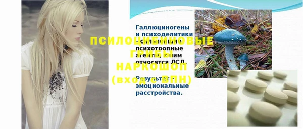 дживик Абаза