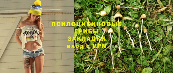 стафф Сатка