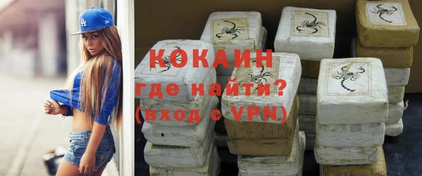дживик Абинск