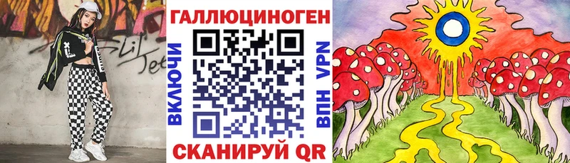 Псилоцибиновые грибы Psilocybe  Галич 